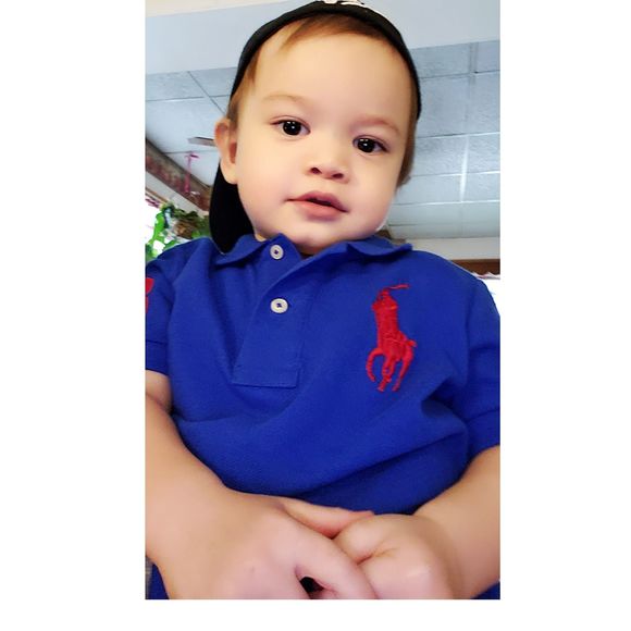 Meet your Posher, Joey - Picture 1 of 1